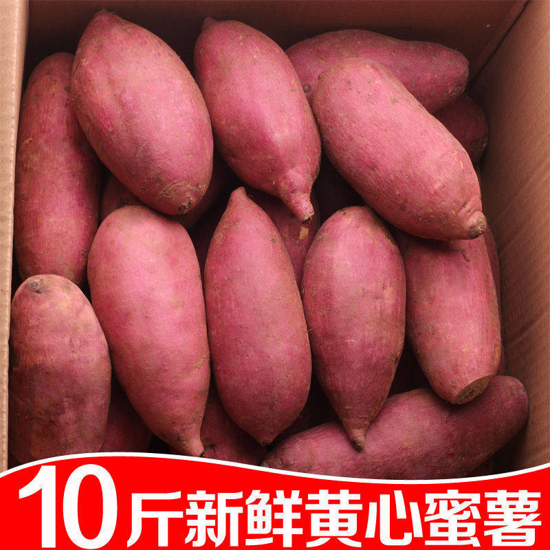 新鲜蜜薯10斤黄心地瓜糖心小番薯山芋沙地红薯农家香甜薯板栗山芋