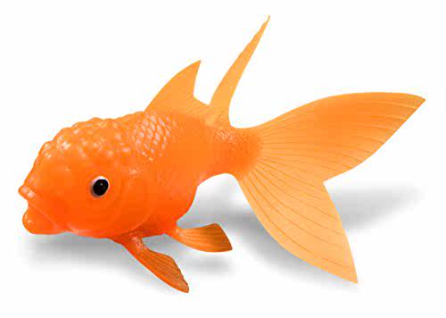 Fred KOI TOY Light-Up Bath Goldfish Fred coe toyin the Rubber Material Science products, Rubber Products, Other rubber products category - from Buy2taobao.com to provide professional Taobao agent buy service