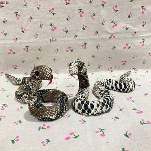 仿真蛇模型蛇道具蟒蛇手工艺品塑料材质可烧易燃摆件饰品蛇静态