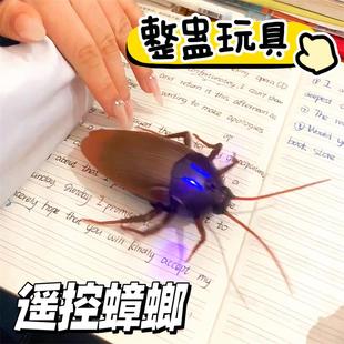 仿真蟑螂玩具电动遥控假蟑螂蜘蛛眼镜蛇逗猫整人创意恶搞整蛊玩具