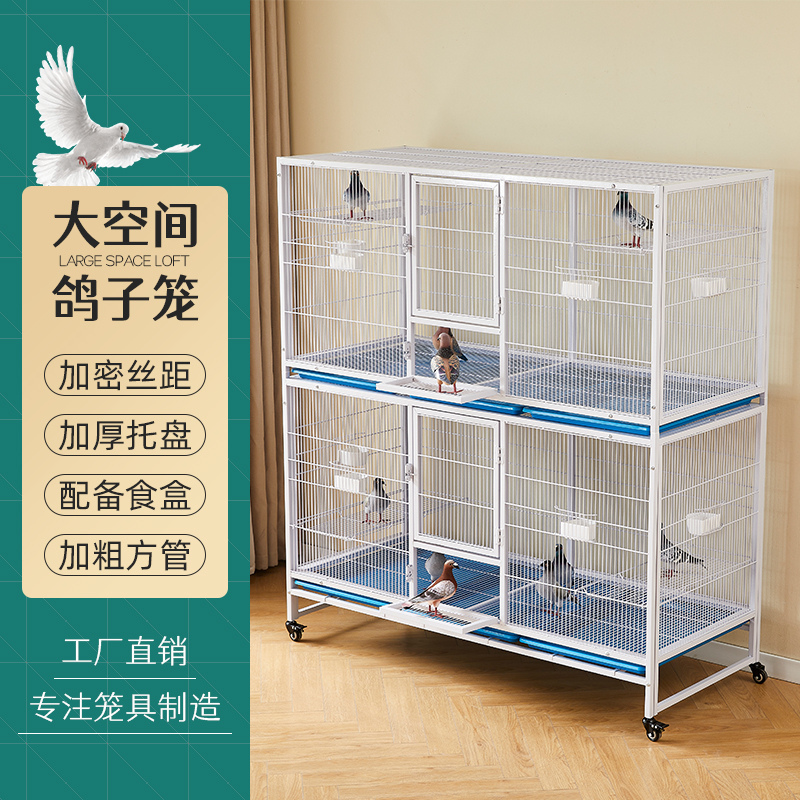 小胖子鹦鹉加密飞行笼大空间群养