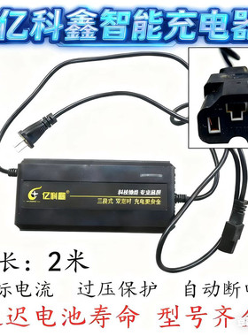 通用48V60V72V电动车铅酸电池充电器爱玛雅迪台铃电动车三轮车