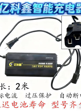 原厂亿科鑫电动车智能充电器
