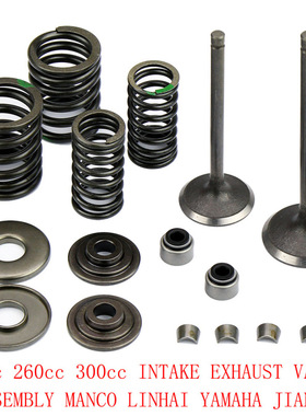 YP250气门 适用雅马哈250气门组合 金浪LH250 ATV林海300气门套件