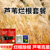 芦苇烂根专用专除套餐除草剂抗性芦苇草克星顽固芦苇除草烂根农药