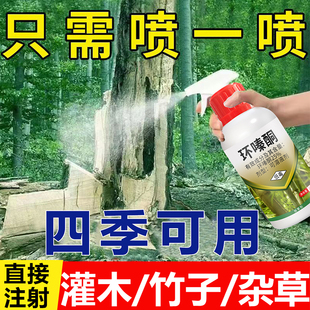 环嗪酮水剂喷竹子杂草枯死剂环嗪哃灌木一针剂腐乔木死根专用水剂