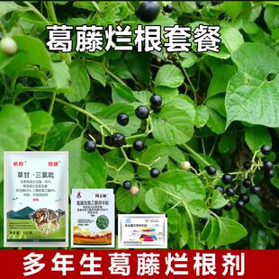 葛藤母猪藤烂根套餐葛藤除草剂除葛藤蔓灭葛藤除阔叶杂草烂根死根