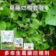 葛藤母猪藤烂根套餐葛藤除草剂除葛藤蔓灭葛藤除阔叶杂草烂根死根