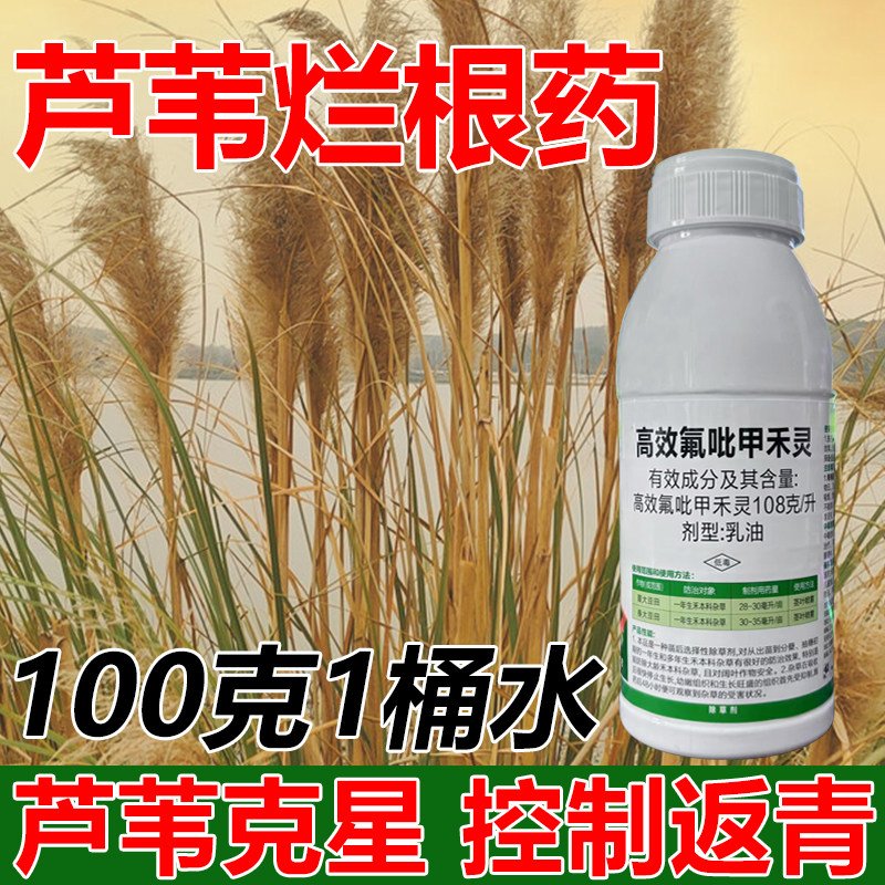 高效氟吡甲禾灵除草剂芦苇牛筋草烂根死根除杂草烂根专用正品农药