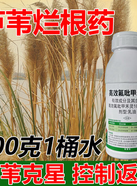 高效氟吡甲禾灵除草剂芦苇牛筋草烂根死根除杂草烂根专用正品农药