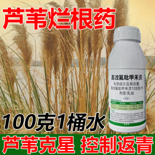 高效氟吡甲禾灵除草剂芦苇牛筋草烂根死根除杂草烂根专用正品农药