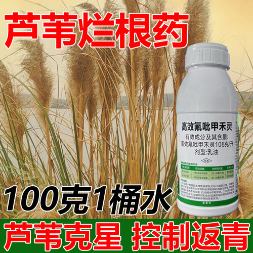 高效氟吡甲禾灵除草剂芦苇牛筋草烂根死根除杂草烂根专用正品农药