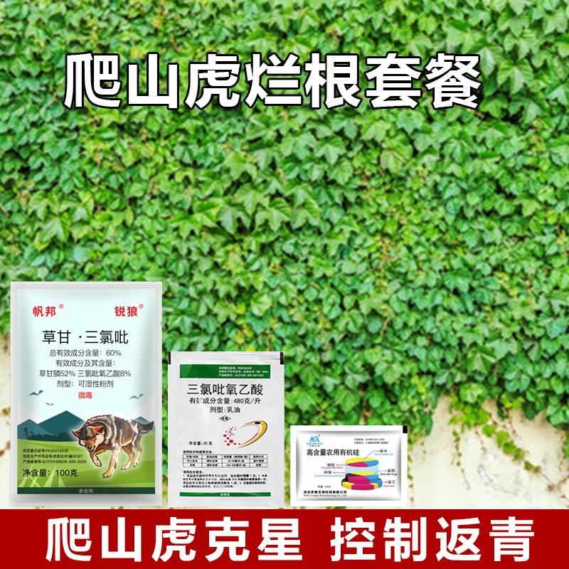 爬山虎克星灭杀藤蔓灌木杂草套餐除草剂爬山虎死根烂根除杂草专用