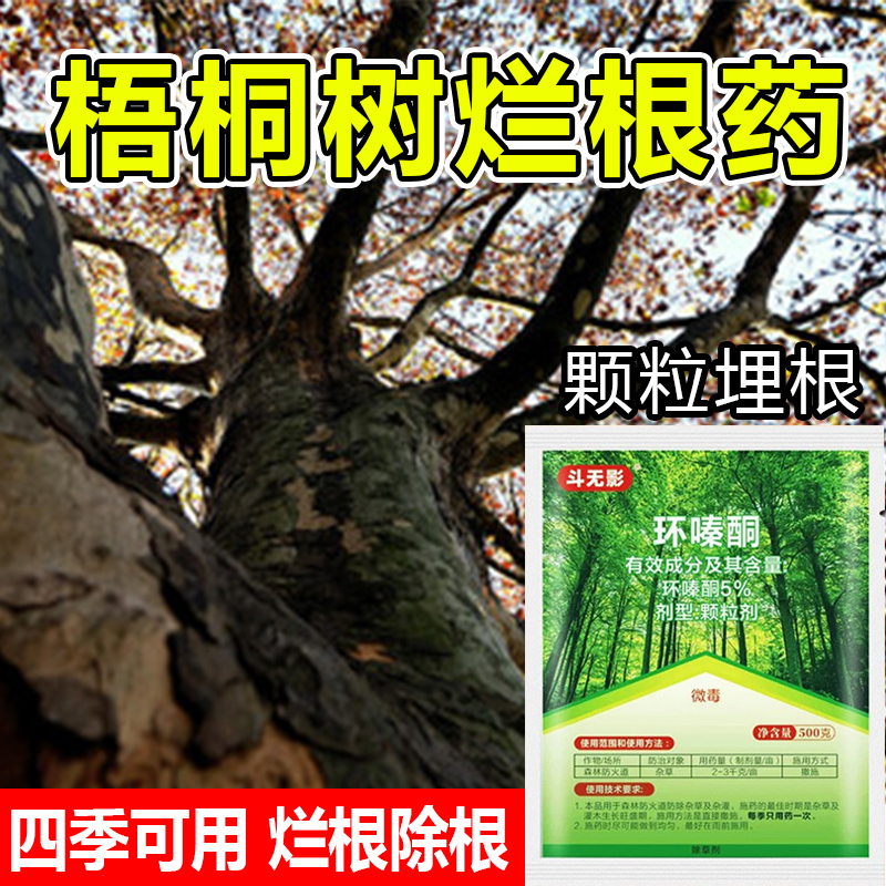 环嗪酮梧桐树专用药樟树灌木烂根剂环嗪哃杂竹死根烂根杂草颗粒剂