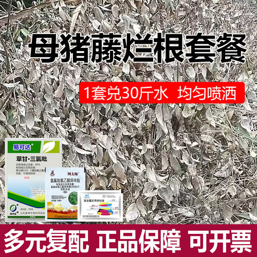 葛藤母猪藤烂根套餐葛藤除草剂除葛藤蔓灭葛藤除阔叶杂草烂根死根