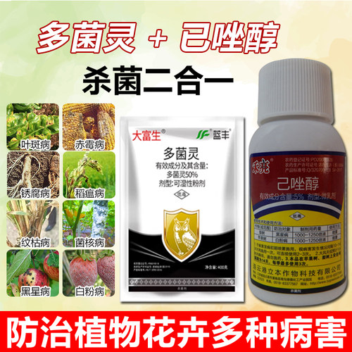 月季花白粉病通用多菌灵
