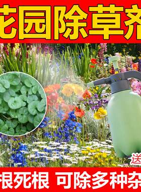 花园除草剂套装专用除杂草一扫神器清除剂药强力除草烂根除草剂