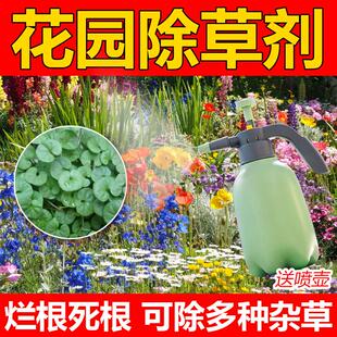花园除草剂套装专用除杂草一扫神器清除剂药强力除草烂根除草剂