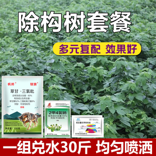 构树腐根见效快灌木拉拉藤杂草枯死药构树死根专用农药正品套餐
