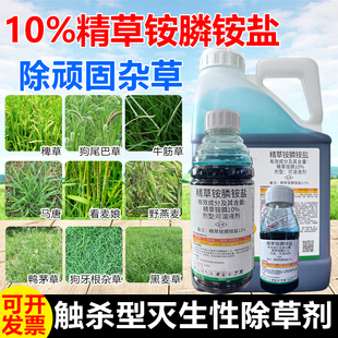 10%精草铵膦铵盐草胺磷除草剂果园小飞蓬牛筋草正品除杂草烂根剂