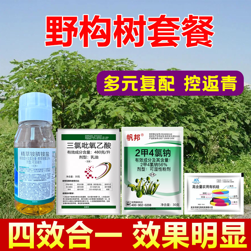 构木灌木枯萎套餐见效快杂草拉拉藤死根除构木专用强力农药除草剂