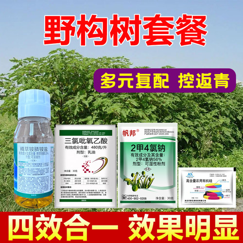 构木套餐杂草灌木拉拉藤