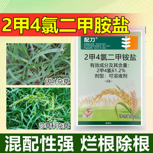 2甲4氯二甲胺铵盐除草药剂专用水稻移栽田除杂草烂根二甲四氯药剂