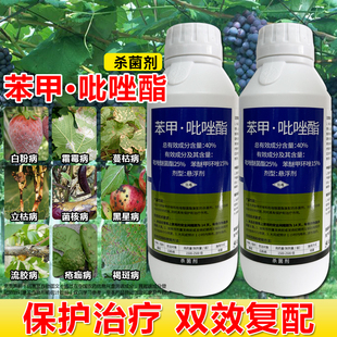 40%苯甲吡唑酯脂植物杀菌剂葡萄白粉病果树苯甲吡唑酯杀菌剂农药