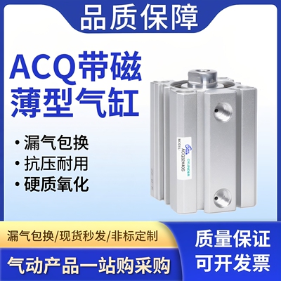 小型气动ACQ薄型气缸20/25/32/40/50/63/80/100*5X10X20X30带磁性
