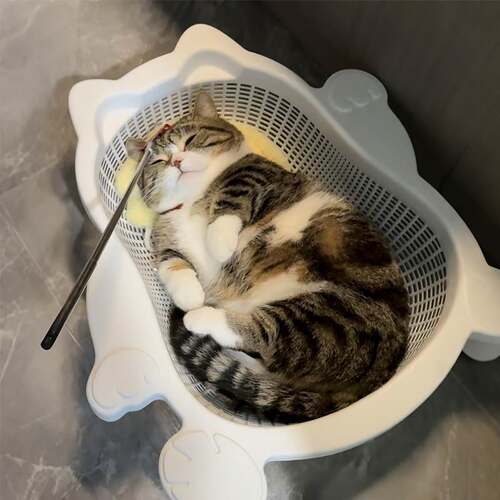 菜篮子猫窝夏季降温透气可水洗