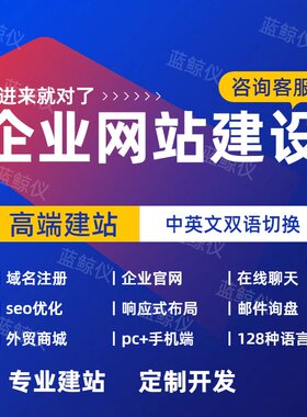 企业网站建设外贸独立站外贸网站建设多语言商城英文网站建设定制