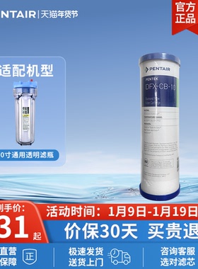 Pentair/滨特尔 家用净水器 DFX-CB-10 10寸钻石流滤芯不包安装