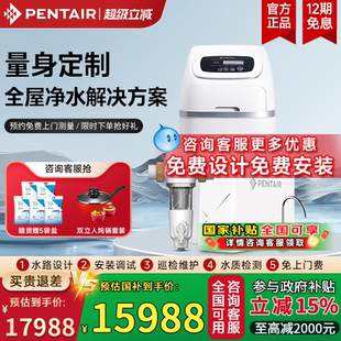 滨特尔鲸小白软水机家用中央净水器别墅全屋处理过滤套装 Pentair