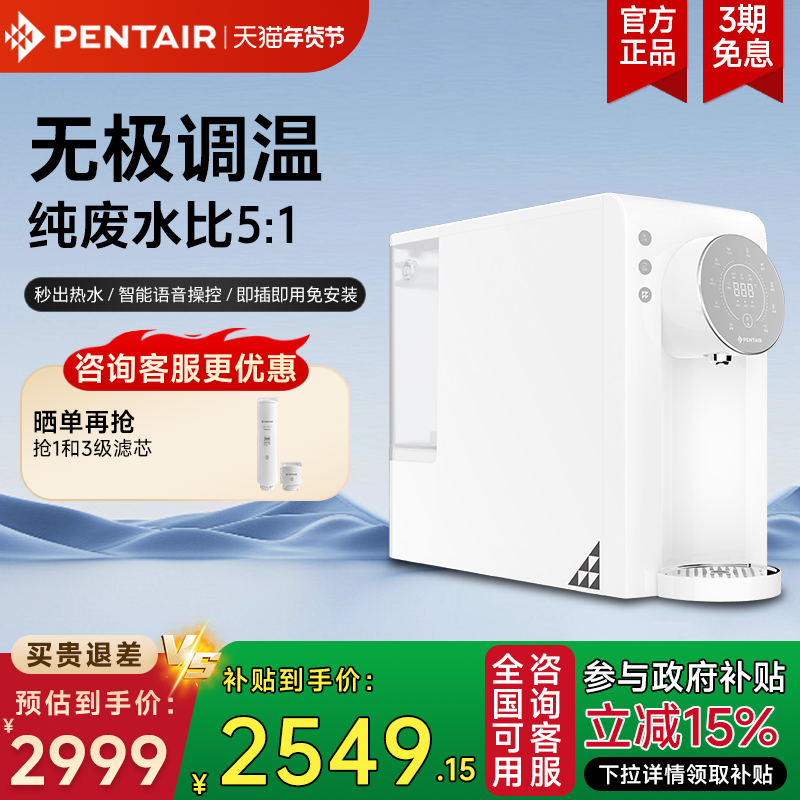 滨特尔台式即热净饮机饮水机直饮反渗透智能语音家用免安装DP110