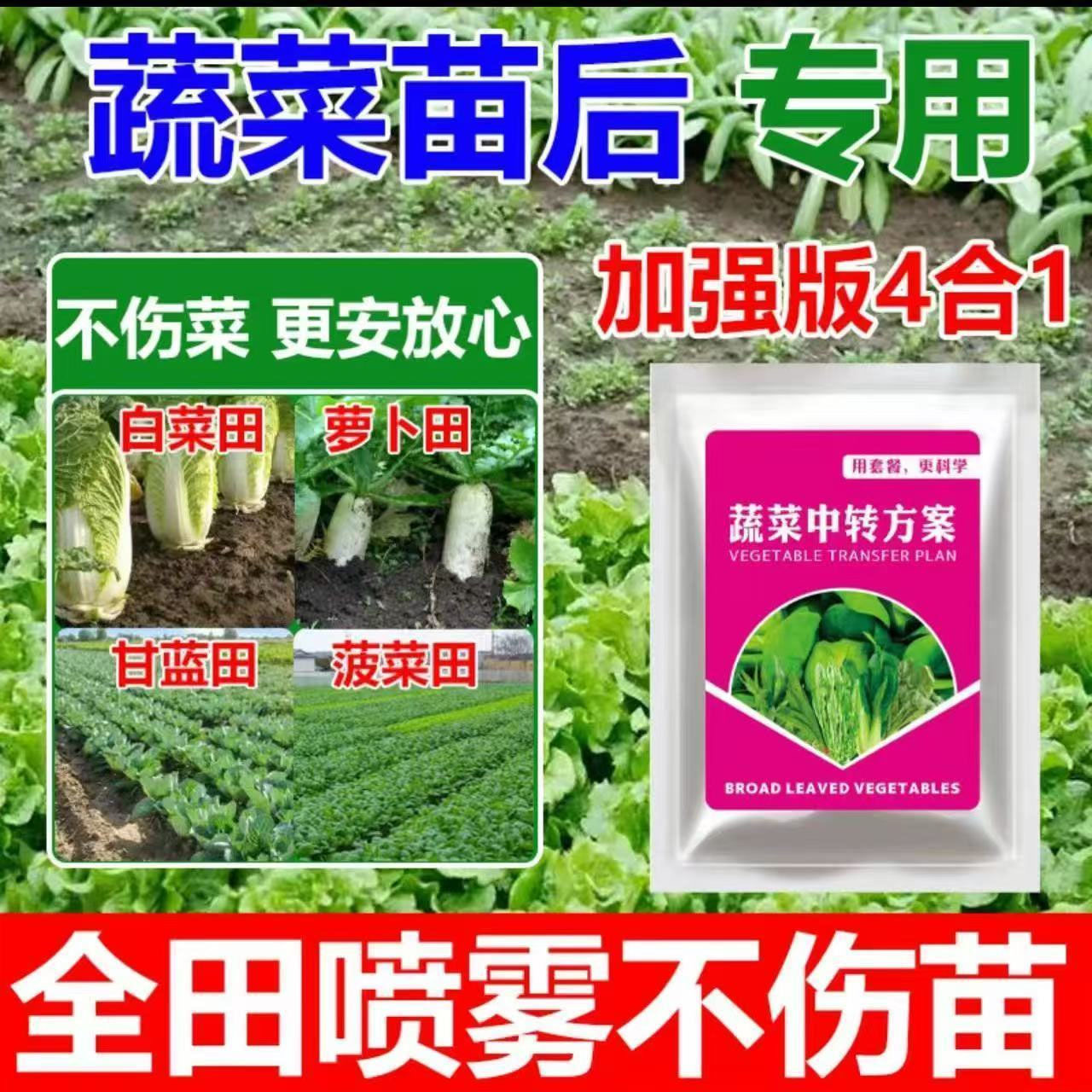 作物安全高效蔬菜中转方案升级版