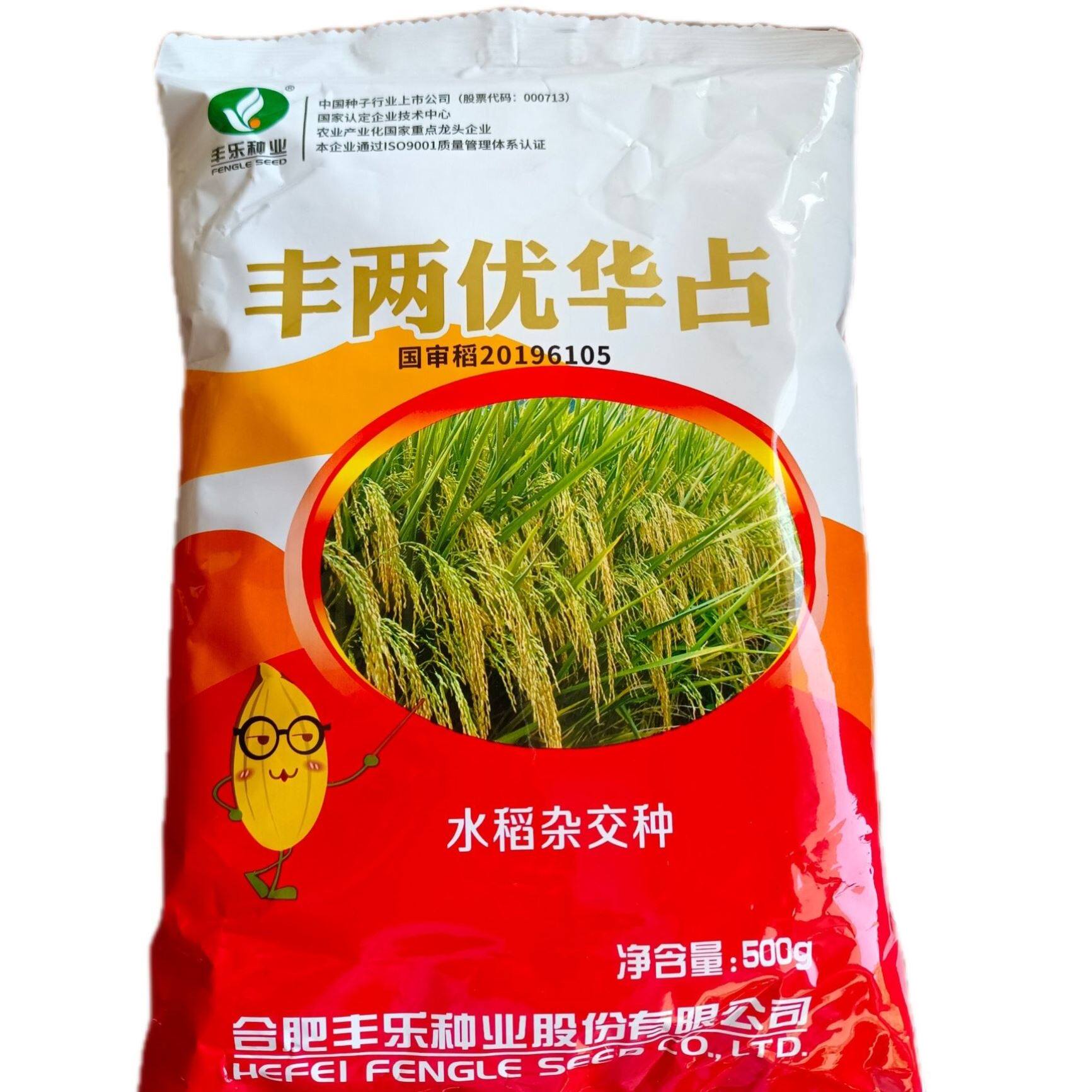 长粒杂交水稻种籽丰两优华占水稻种子米质优饭好吃稻谷种子中熟型