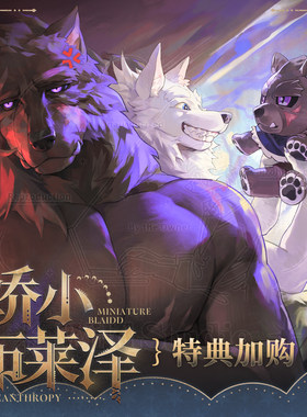 娇小布莱泽特典加购法环同人周边
