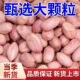 当季 新花生米正宗现剥精选无壳粉皮新鲜大粒便宜批发下酒年货饱满