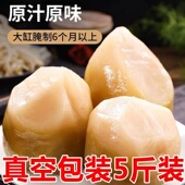 咸菜疙瘩大缸腌制下饭菜辣丝辣菜芥菜头大头菜二斤三斤五斤 包邮