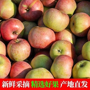 正宗东北酸甜老树苹果酸国光苹果水果批发应季孕妇新鲜青苹果整箱