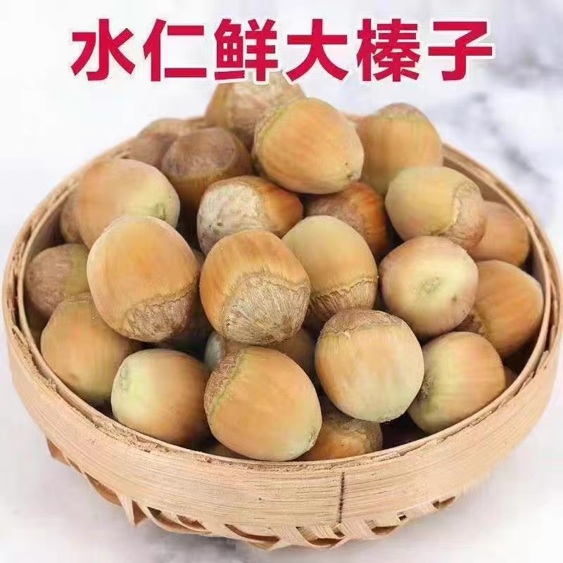 新鲜水仁新货脱皮水仁榛子东北新鲜青皮东北特产坚果零食大榛子