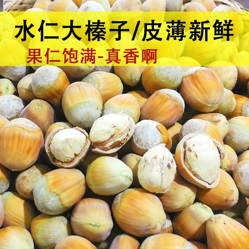 开口大榛子东北特产新鲜铁岭野生炒熟坚果零食棒子原味无添加干果