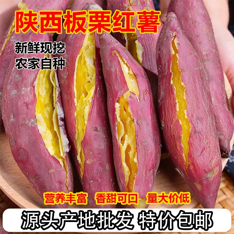 临潼板栗红薯10斤批发正宗陕西农家自种产地直发粉糯番薯黄心地瓜