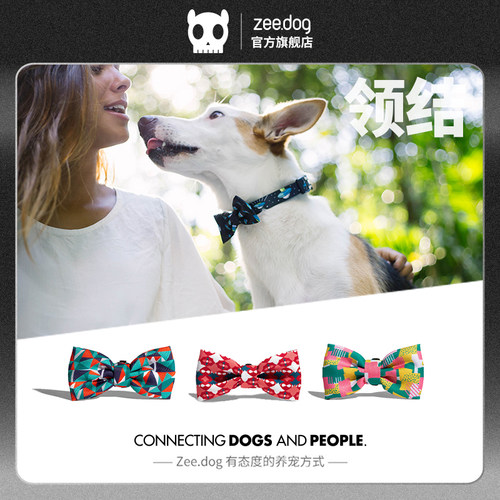 美国小中大型犬柯基泰迪金毛领结