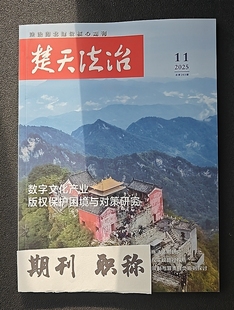 《楚天法治》省级维普期刊法律法学论文投稿法治经济法民法典发表文章律师法官司法实践评职称学术刊物订阅推荐