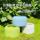 Керамическая миска для еды Parrot, защищенная от брызг коробка для корма для птиц, банка для корма с защитой от разбрызгивания, тигровая шкура Xuanfeng, рутин, кормушка для курицы, принадлежности для птиц mini 4
