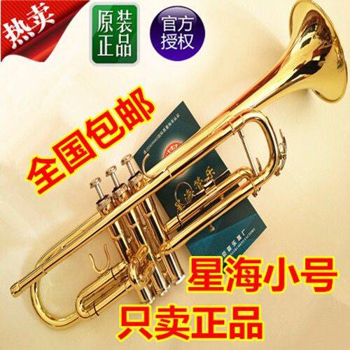 星海小号乐器成人团体专业演奏通用降B调小号学生初学者学校同款