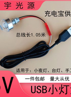 LEDUSB灯泡直流5V灯台灯改装手工制作饰品展柜装饰灯充电宝供电灯