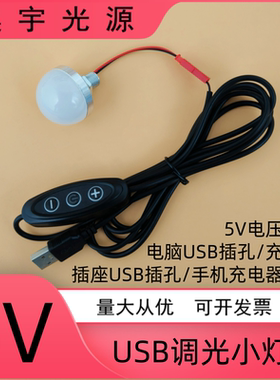 5VLED小灯泡USB小夜灯手工灯笼模型宿舍护眼台灯充电宝带调光开关