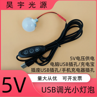 5VLED小灯泡USB小夜灯手工灯笼模型宿舍护眼台灯充电宝带调光开关